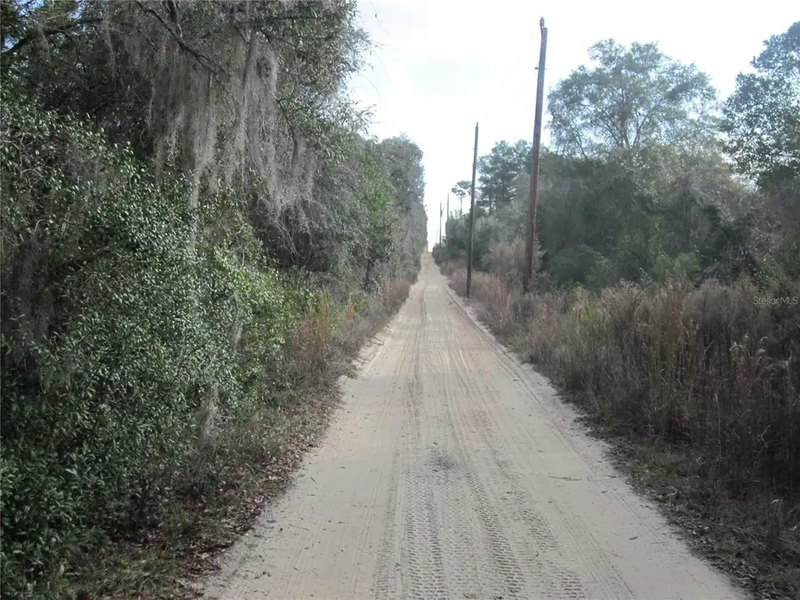 00 NE 239 Lane Ne #Lot-A37, Fort McCoy, FL 32134 - Image #2