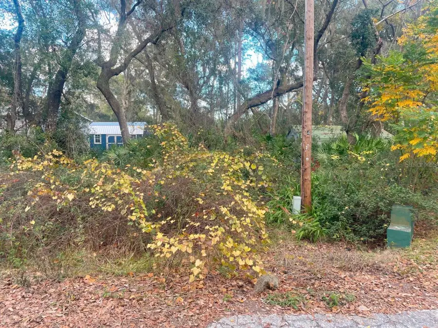 SE 169th Terrace Rd Road, Silver Springs, FL 34488 - Image #2