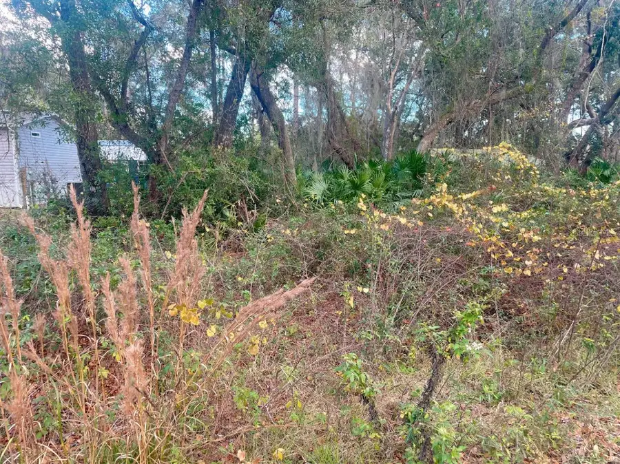 SE 169th Terrace Rd Road, Silver Springs, FL 34488 - Image #3