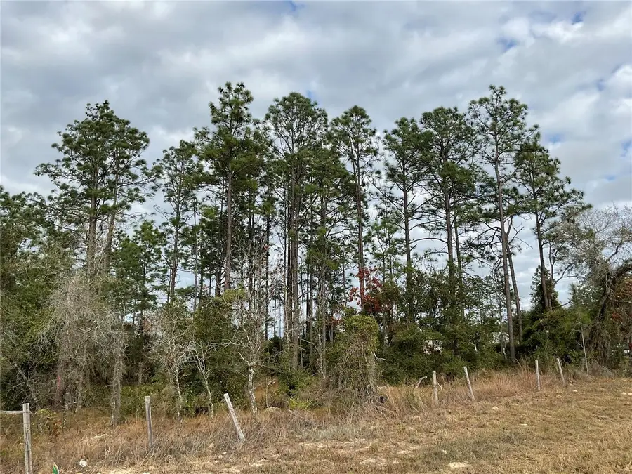 tbd E Levy Street, Williston, FL 32696 - Image #2