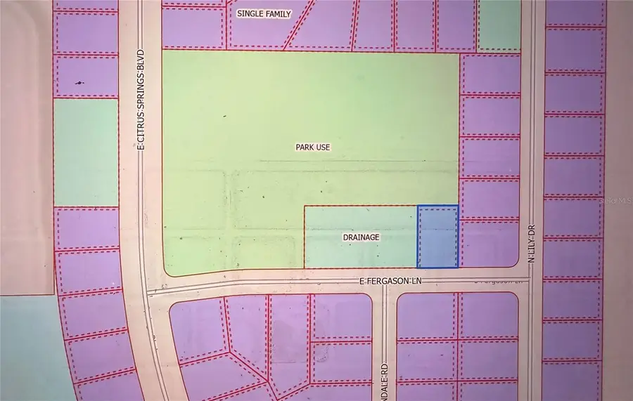 1409 E Fergason Lane, Dunnellon, FL 34434 - Image #3