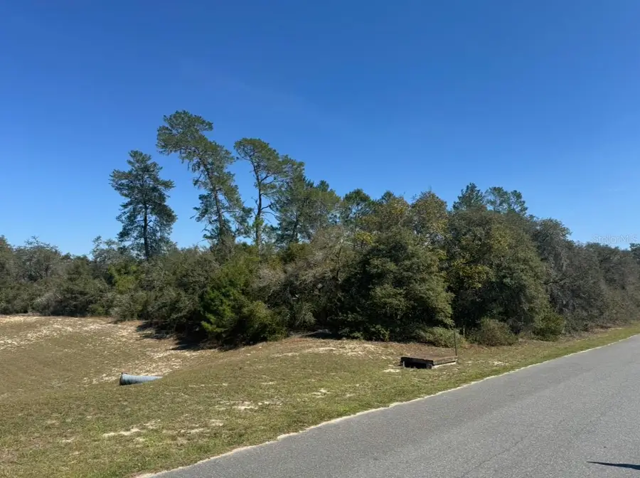 0 SW 17th Circle #Lot 9, Ocklawaha, FL 32179 - #2
