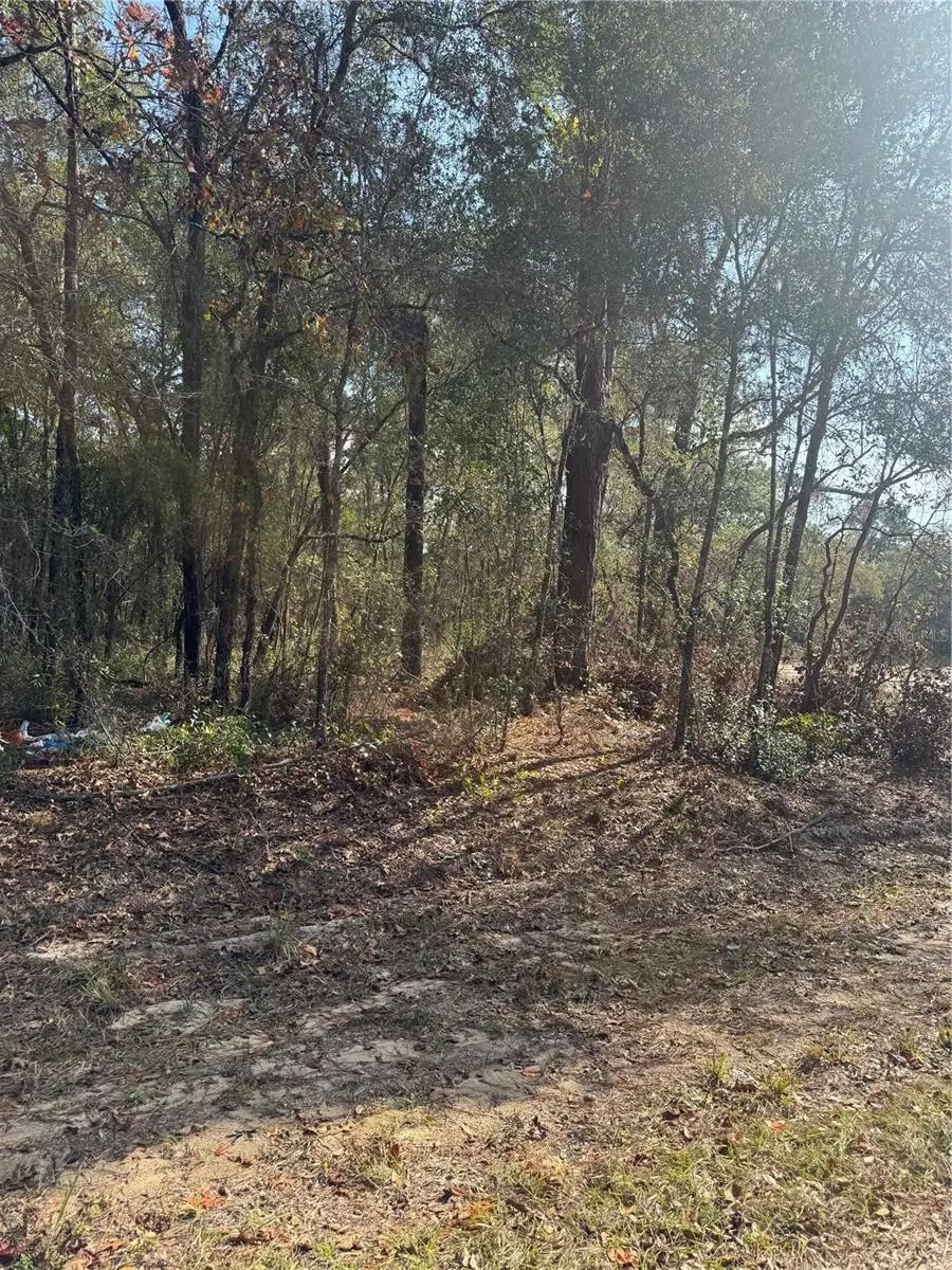 Locust Radial, Ocala, FL 34472 - Image #2
