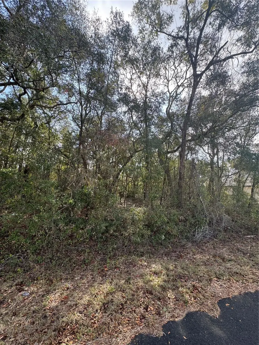 TBD Locust Loop Terrace, Ocala, FL 34472 - Image #1