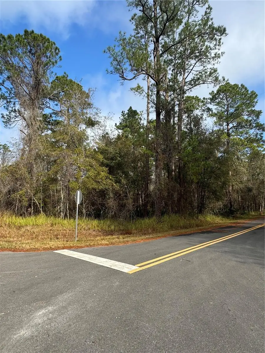Locust Road, Ocala, FL 34472 - Image #1