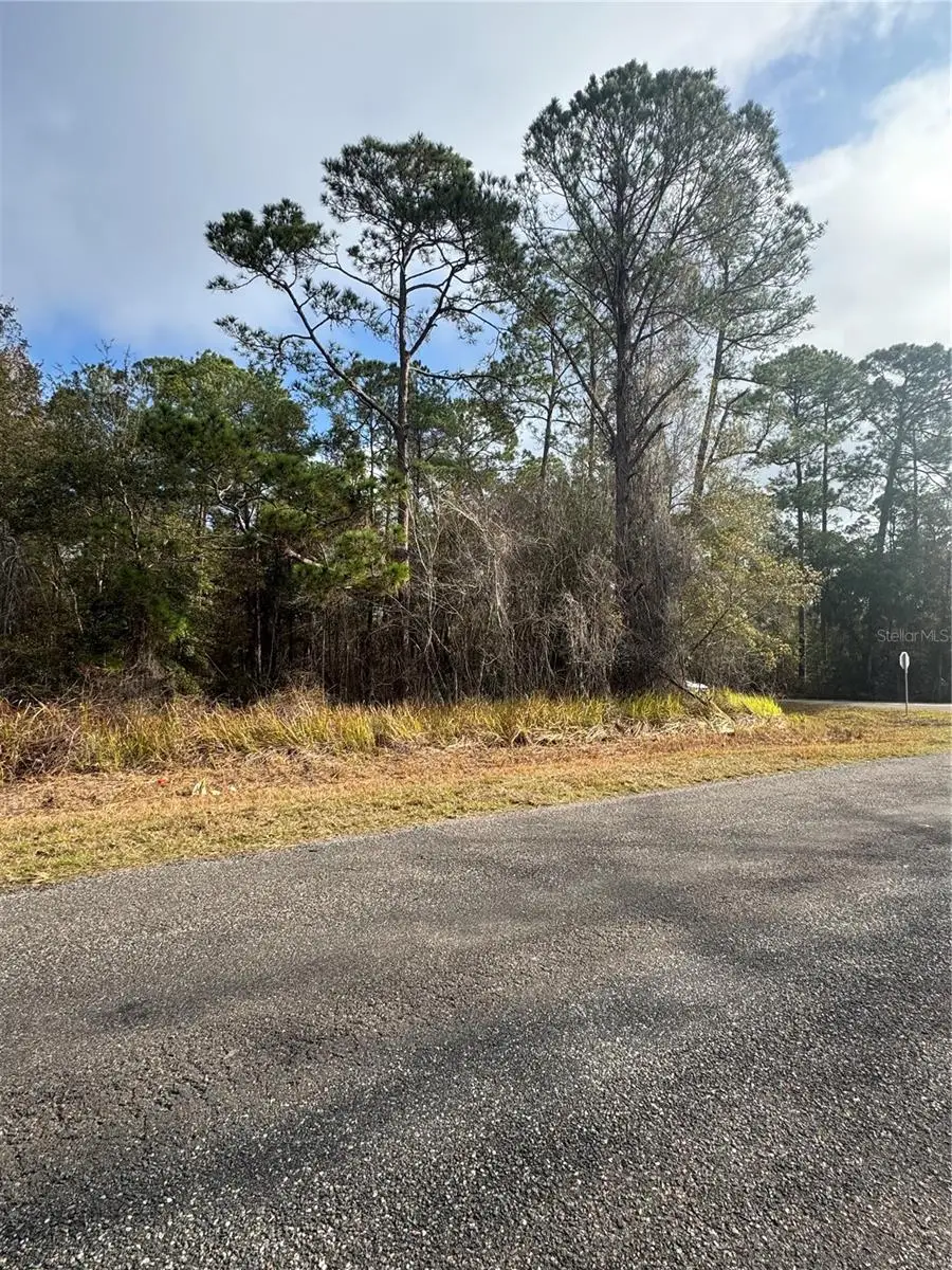 Locust Road, Ocala, FL 34472 - Image #2