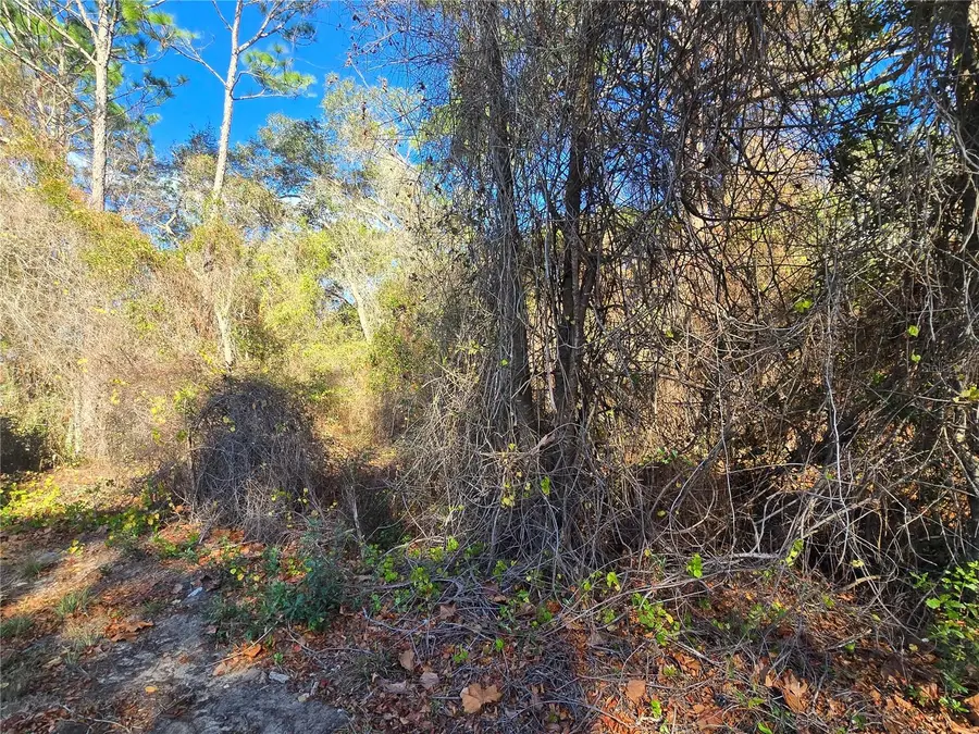 3257 E Kennedy Street, Inverness, FL 34453 - Image #2