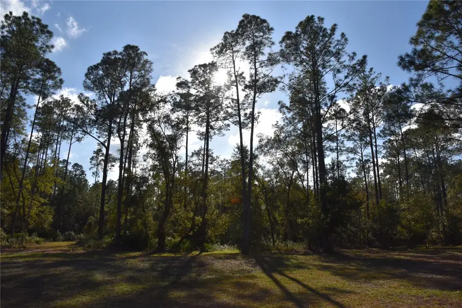 150 Caravelle Farms Road, Palatka, FL 32177 - Image #2