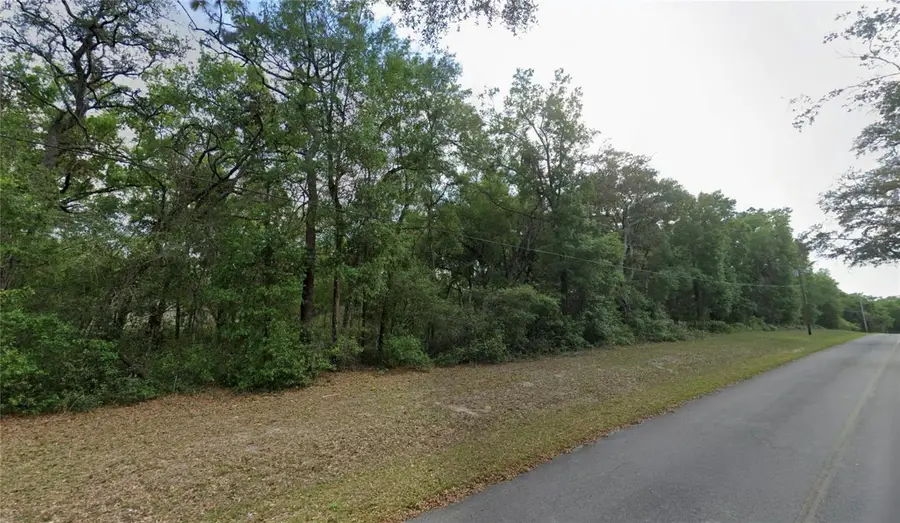 TBD SE 59th Street, Ocklawaha, FL 32179 - Image #2