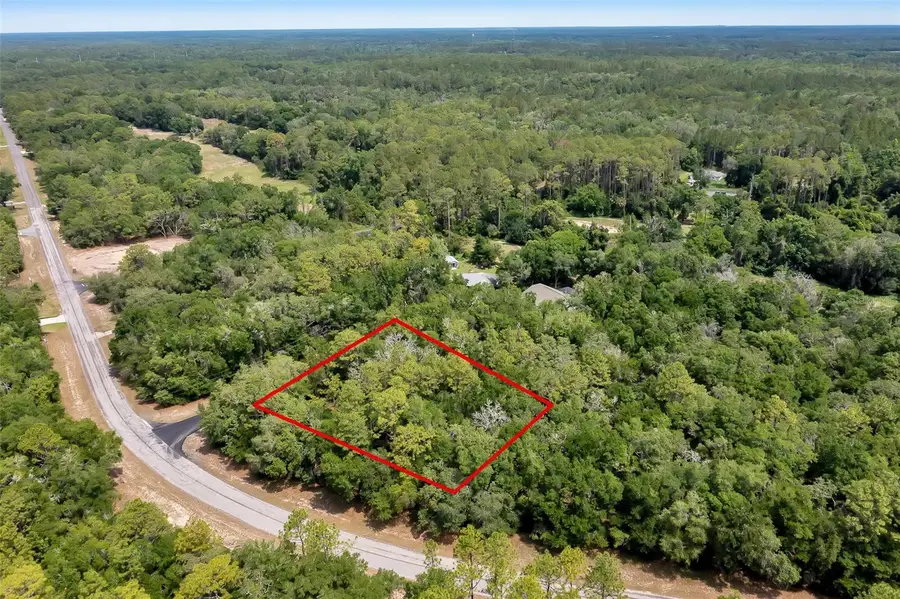 10233 N Athenia Drive, Citrus Springs, FL 34434 - Image #3