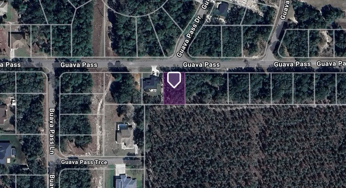 TBD Guava Pass, Ocklawaha, FL 32179 - Image #1