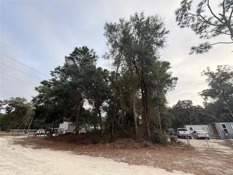 Se 147 Place, Summerfield, FL 34491 - Image #2