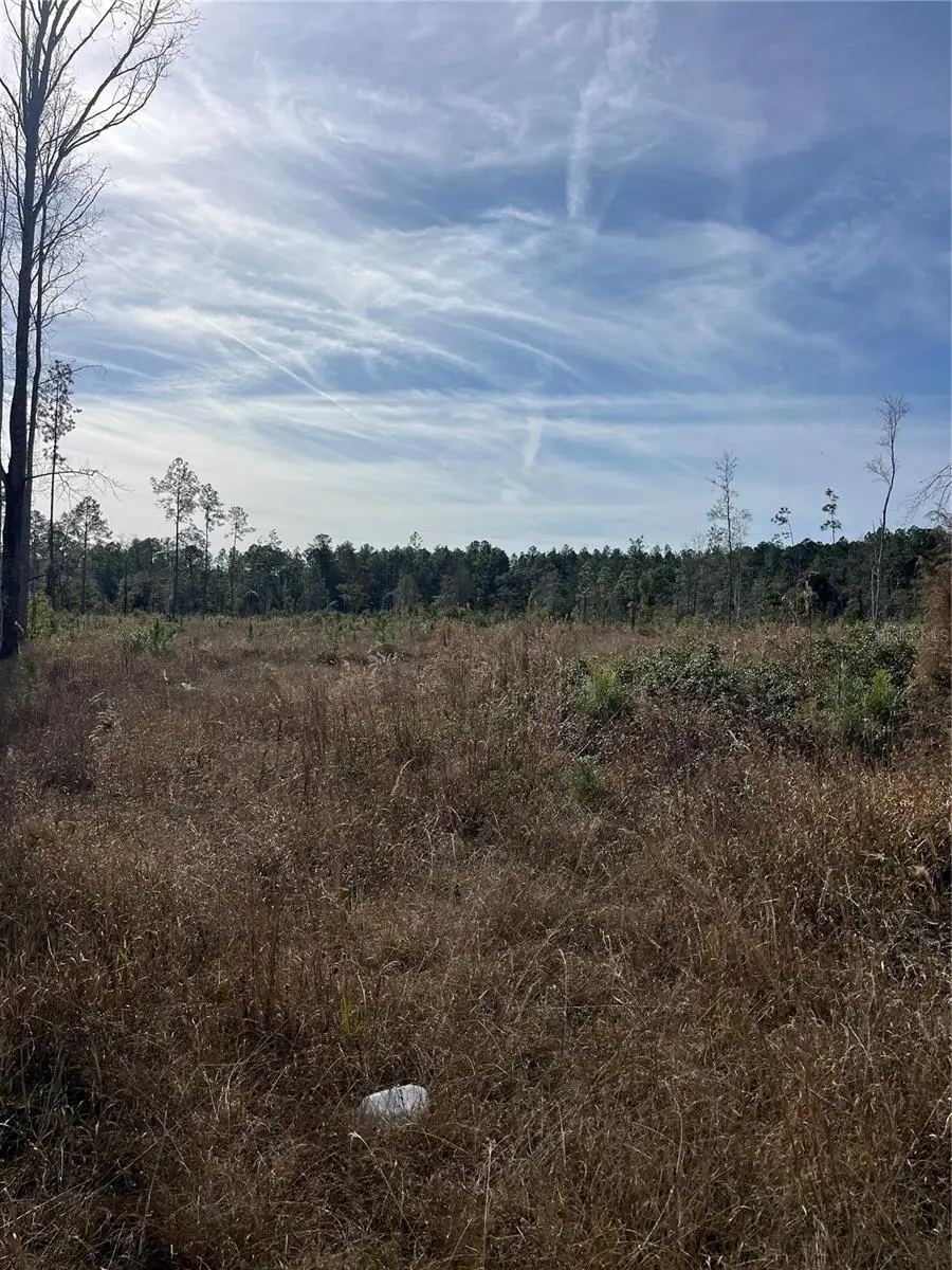 137th Place Ne, Citra, FL 32113 - Image #1