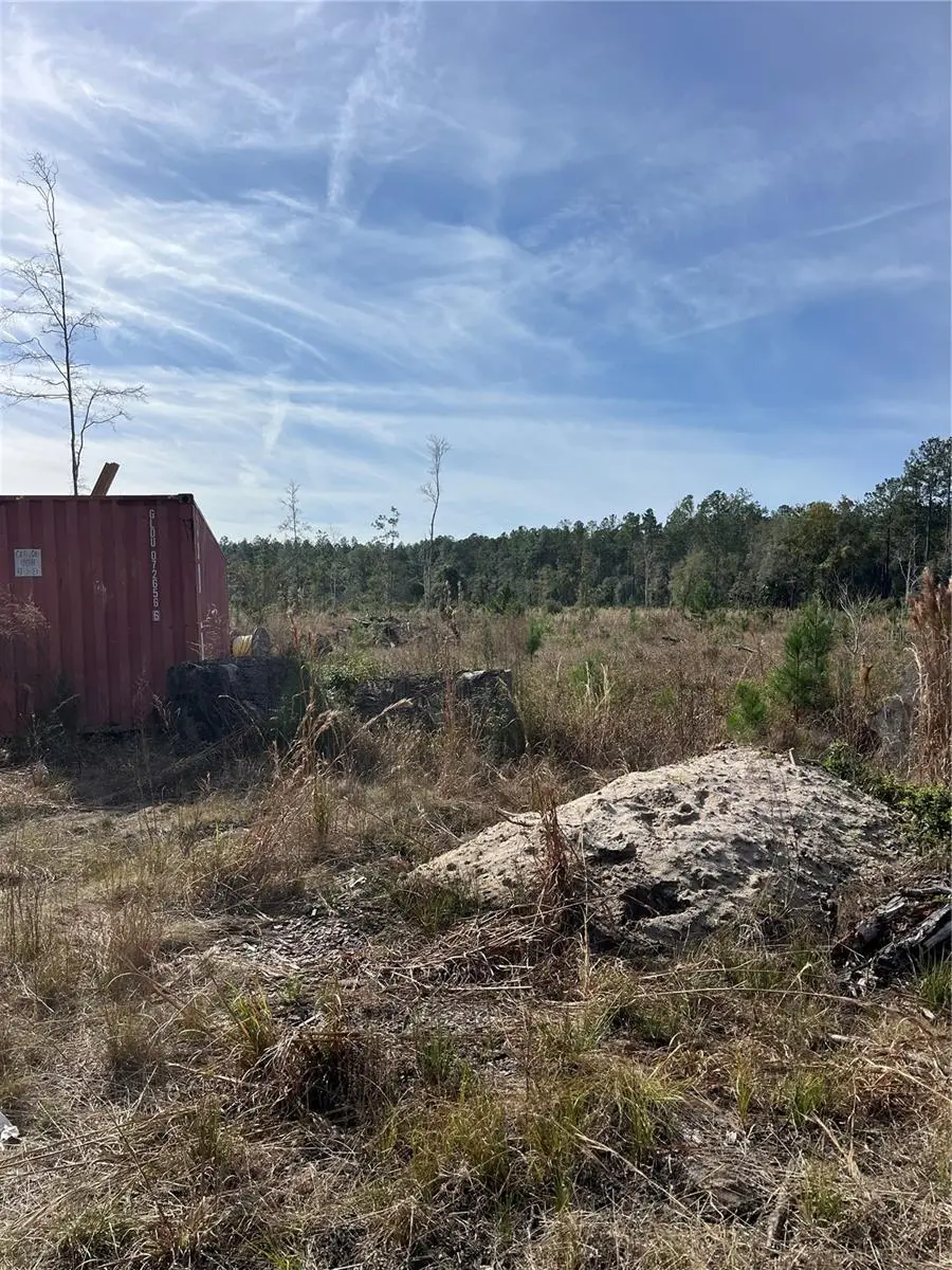 137th Place Ne, Citra, FL 32113 - Image #2