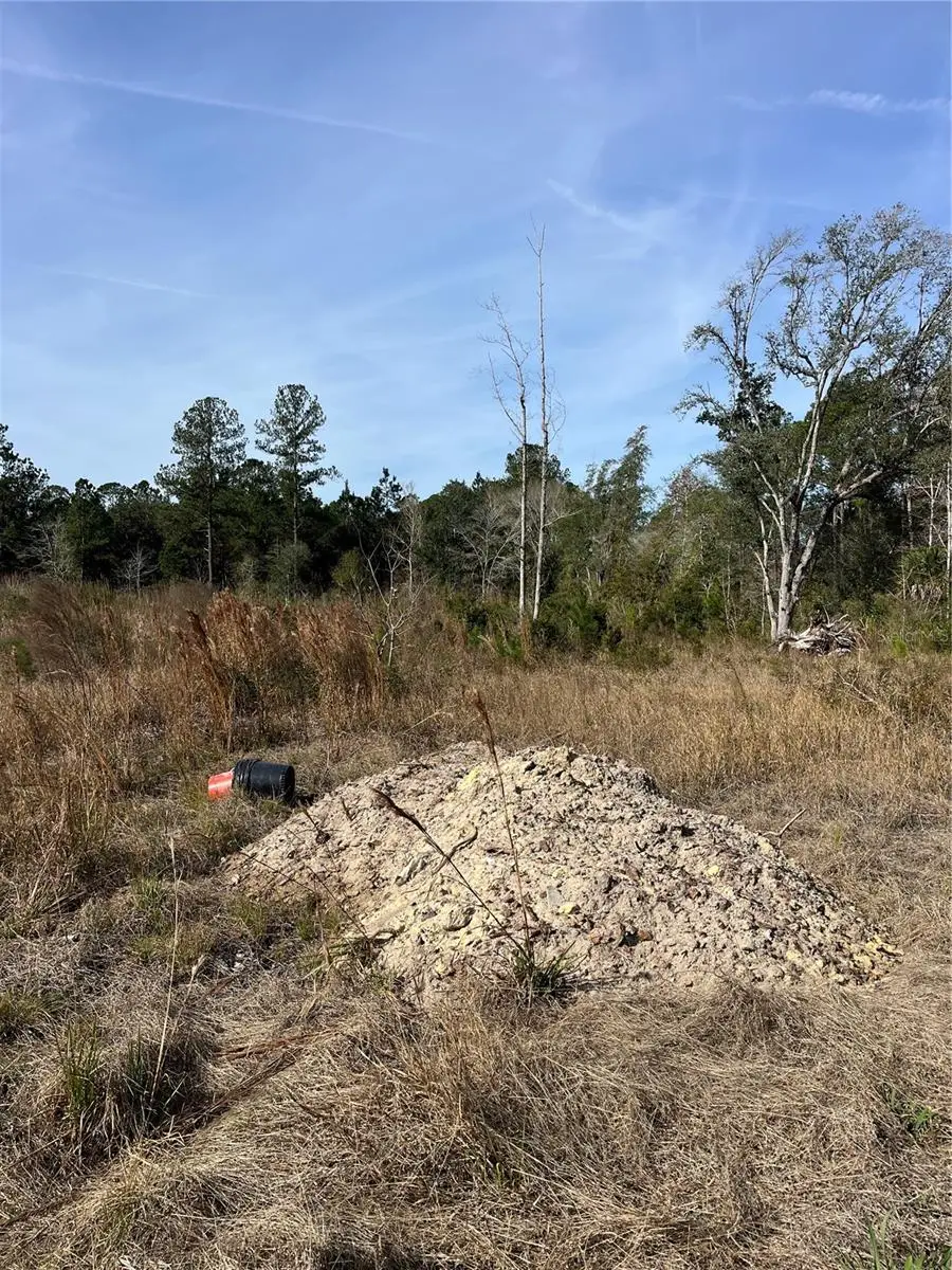 137th Place Ne, Citra, FL 32113 - Image #3