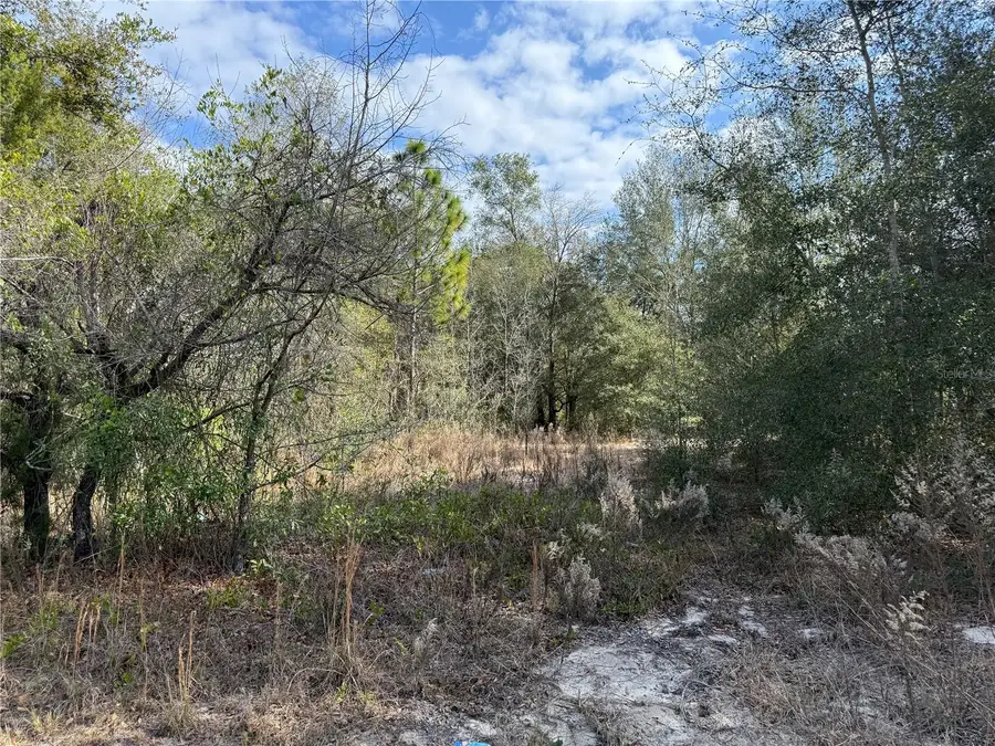 SE 92nd Court, Belleview, FL 34420 - Image #2