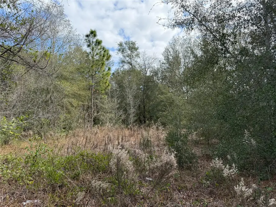 SE 92nd Court, Belleview, FL 34420 - Image #3