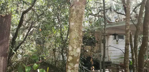 24971 NE 135th Street, SALT SPRINGS, FL 32134