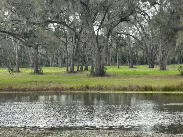 TBD Nw 160th Street, REDDICK, FL 32686