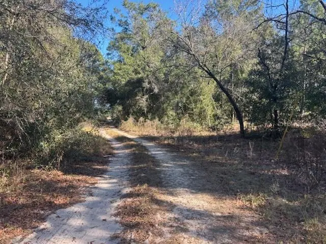 0000 NW 9th Place, Ocala, FL 34482 - Image #2