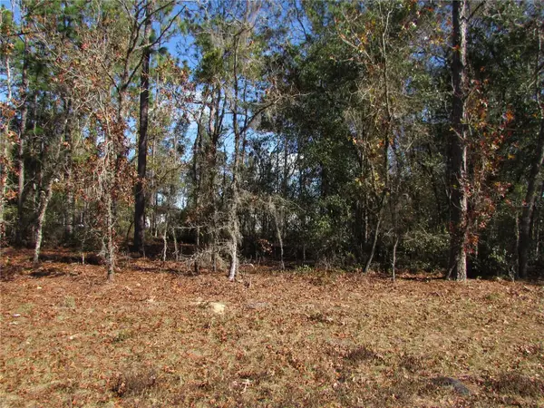 Lot 18 SW 156 Street, OCALA, FL 34473