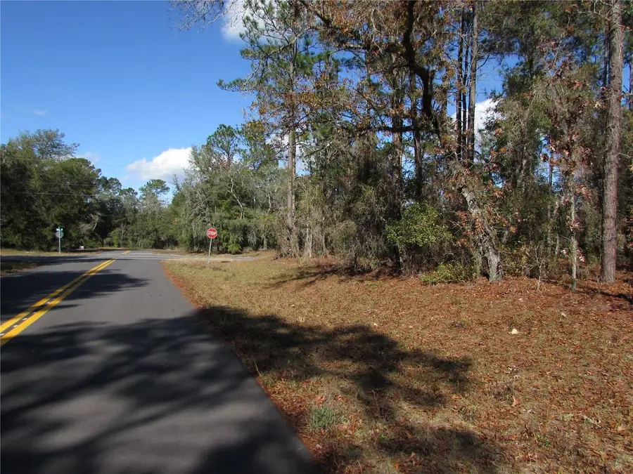 Lot 18 SW 156 Street, Ocala, FL 34473 - Image #3