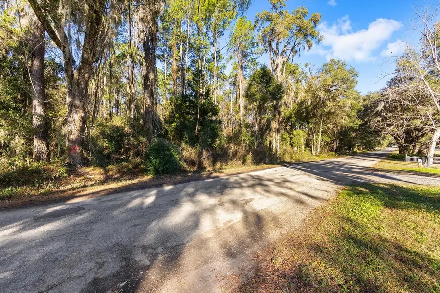 TBD SW 125th Avenue, Ocala, FL 34481 - Image #3