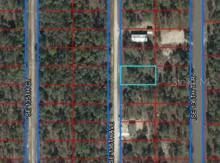 Lot 50 SE 136th Avenue, Dunnellon, FL 34431 - Image #1