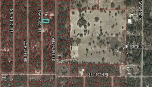 Lot 50 SE 136th Avenue, Dunnellon, FL 34431 - Image #3
