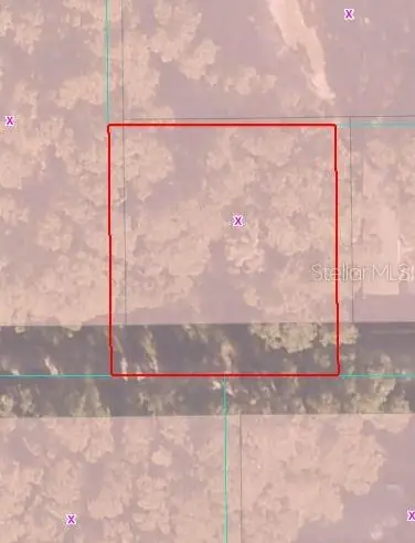 00 NE 160th Lane, Citra, FL 32113 - Image #2