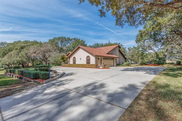 115 E Ireland Court, HERNANDO, FL 34442
