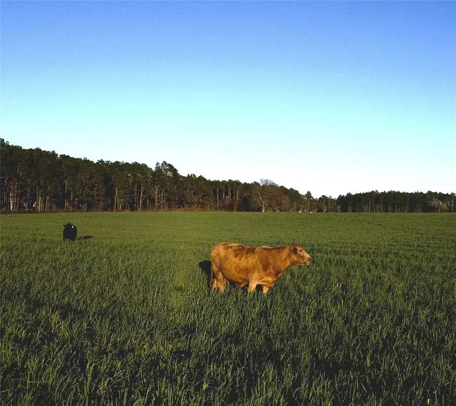 SE St Rd 121, Morriston, FL 32668 - Image #3