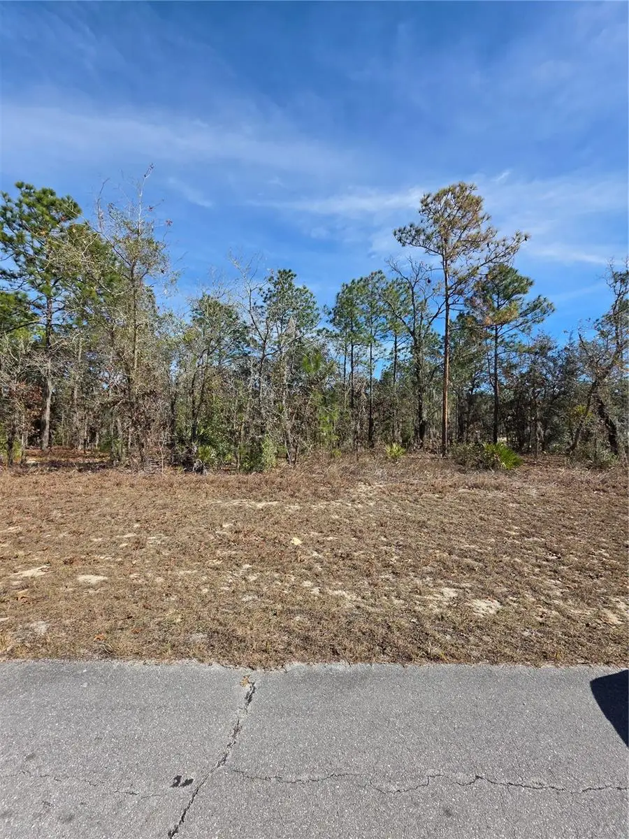 TBD SW 87th Avenue, Ocala, FL 34473 - Image #1