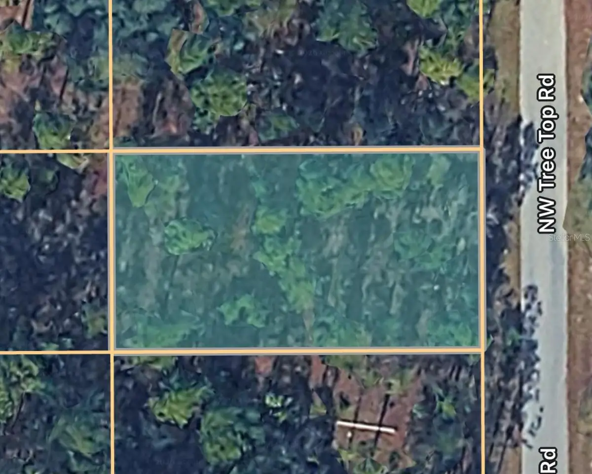 0000 NW Treetop Road #021, Dunnellon, FL 34431 - #1