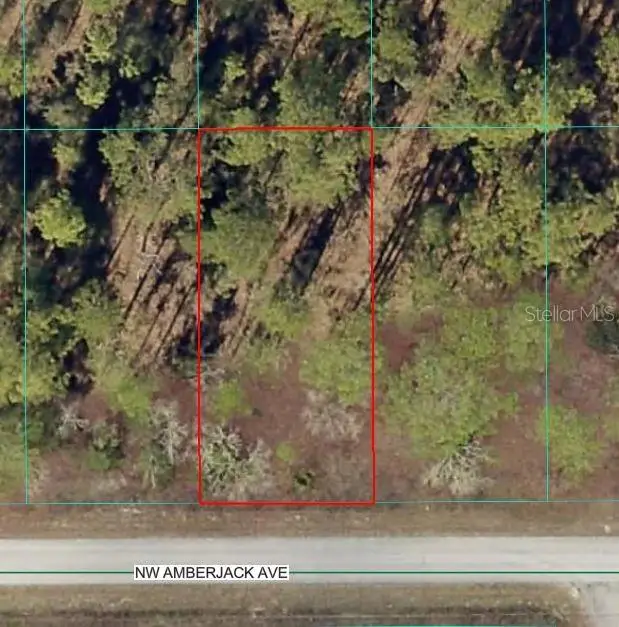 NW Amberjack Avenue, Dunnellon, FL 34431 - Image #1