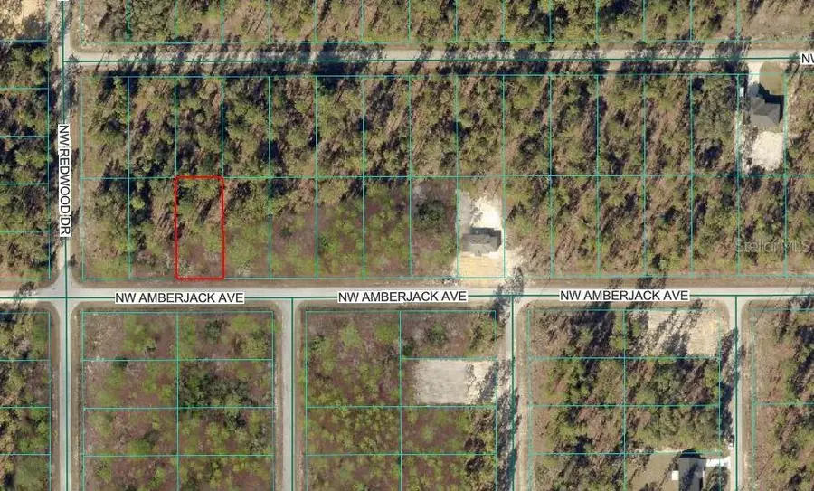 NW Amberjack Avenue, Dunnellon, FL 34431 - Image #2