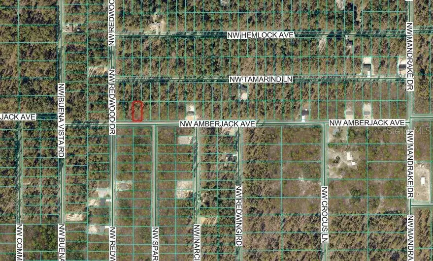 NW Amberjack Avenue, Dunnellon, FL 34431 - Image #3