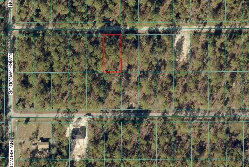 24394 NW Water Oak Avenue, Dunnellon, FL 34431 - Image #2