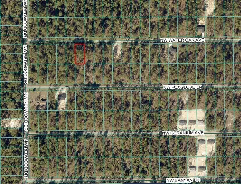 24394 NW Water Oak Avenue, Dunnellon, FL 34431 - Image #3