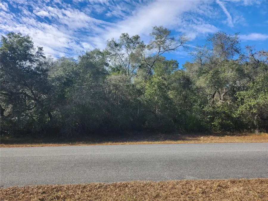 TBD SW 29 Terrace Road, Ocala, FL 34473 - Image #2