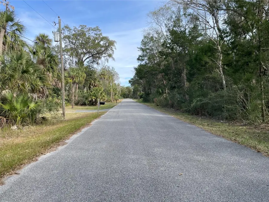 11106 W Townsend Lane, Homosassa, FL 34448 - #2