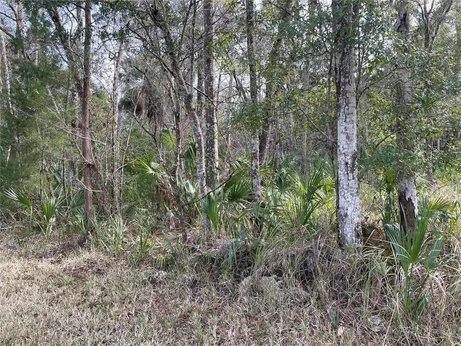 11106 W Townsend Lane, Homosassa, FL 34448 - #3