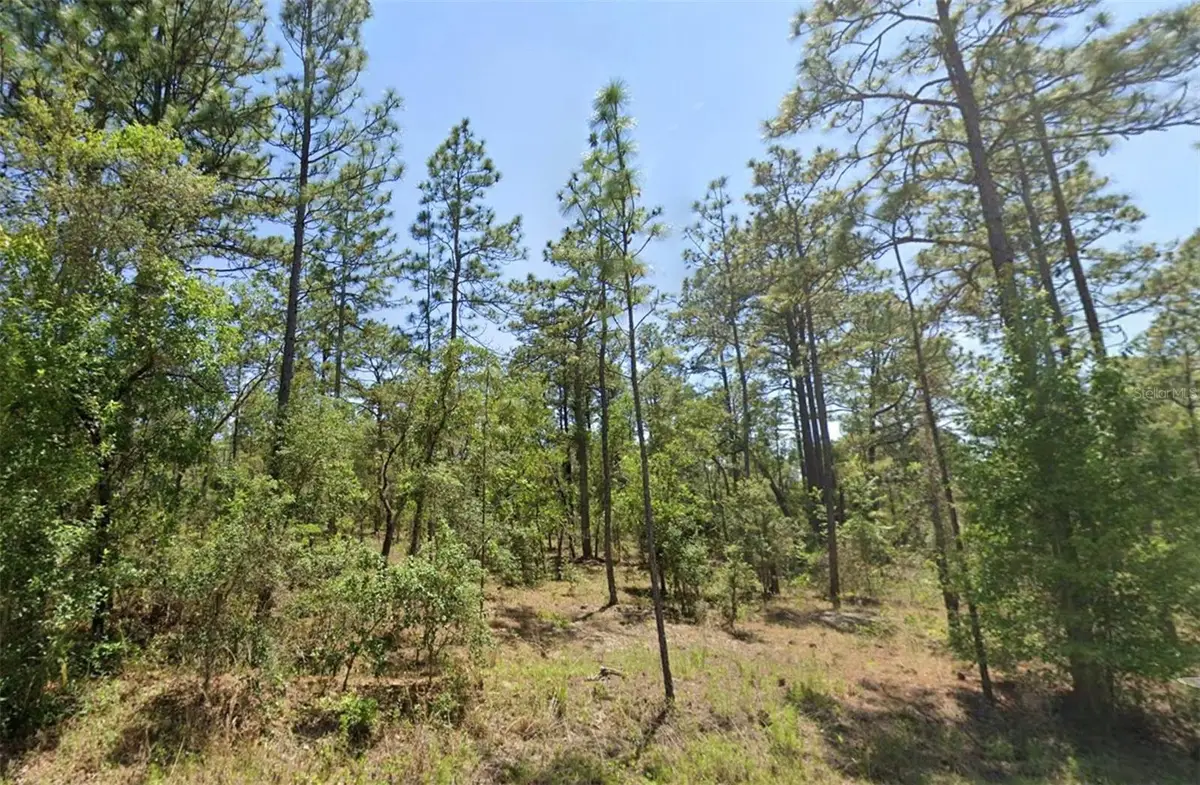 00 NW Shamrock Avenue, Dunnellon, FL 34431 - Image #1