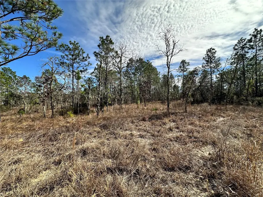 TBD NE 150th Court, Williston, FL 32696 - Image #2