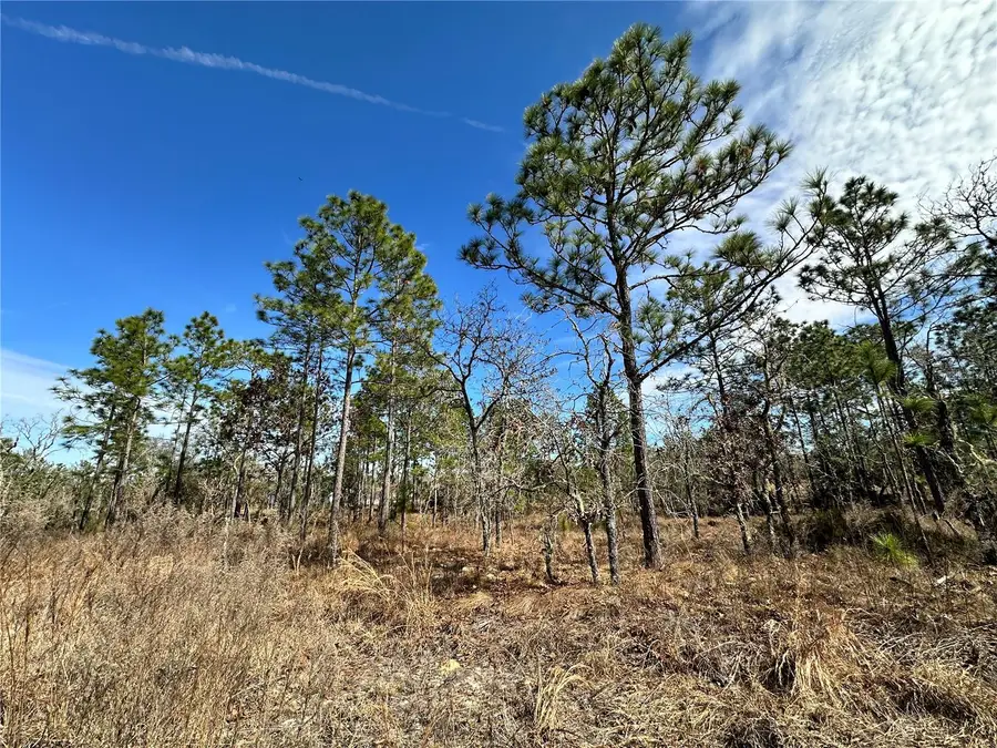 TBD NE 150th Court, Williston, FL 32696 - Image #3