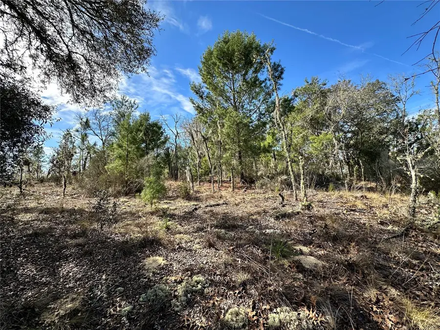 TBD NE 16th Lane, Williston, FL 32696 - Image #2