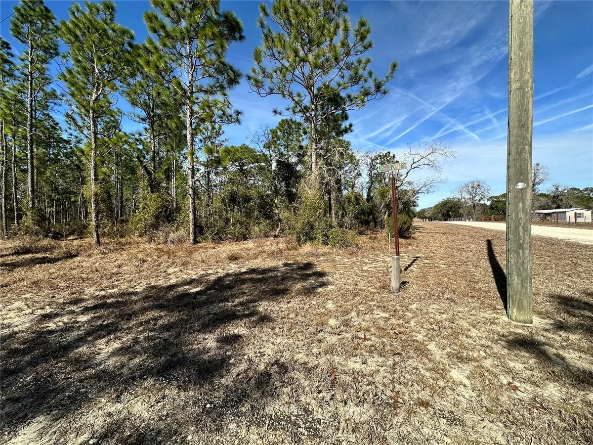 TBD NE 19th Street, Williston, FL 32696 - Image #1