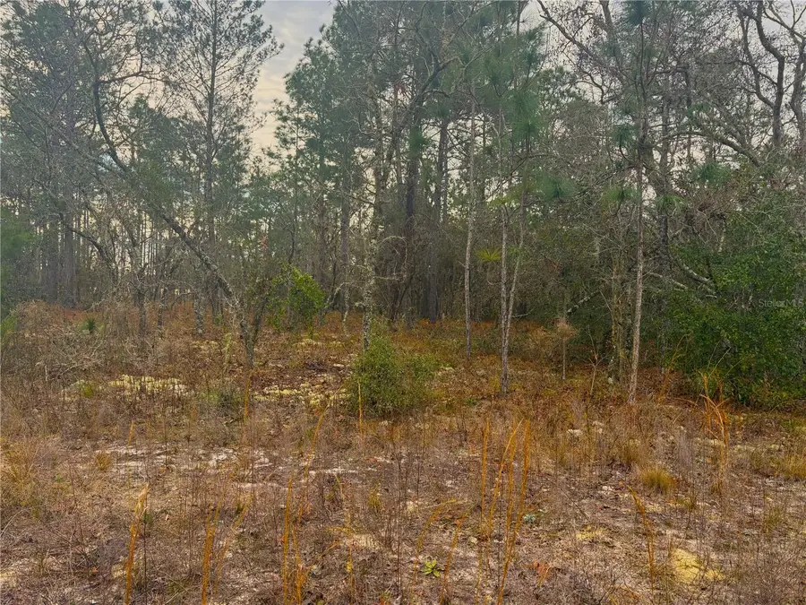 TBD SW 78, Dunnellon, FL 34432 - Image #3