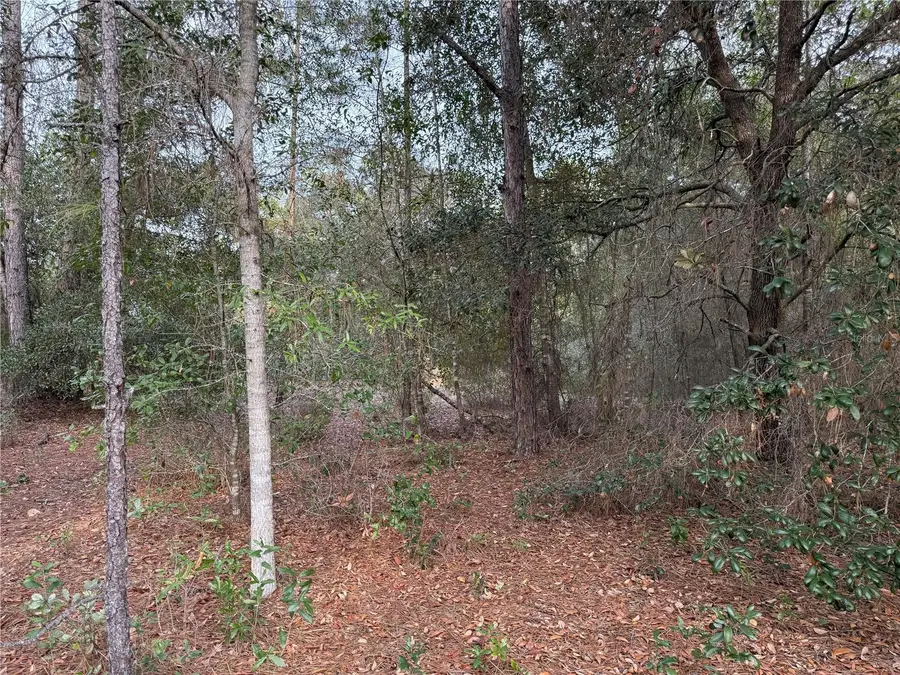 TBD SE Audubon Avenue, Dunnellon, FL 34431 - Image #3