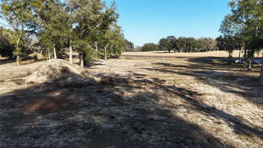 15330 47th Avenue Se, Summerfield, FL 34491 - Image #3